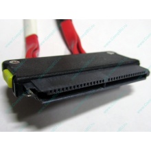 SATA-кабель для корзины HDD HP 451782-001 459190-001 для HP ML310 G5 (Кострома)