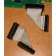 6017B0045701 Шлейф 24pin для Intel C74974-401 T0043401-B01 корпуса SR2400 (Кострома)