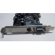 NV18-3710D 64Mb nVidia GeForce4 MX440 AGP 8x (Кострома)