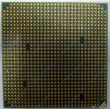 Процессор AMD Athlon 64300+ (1.8GHz) ADA3000IAA4CN s.AM2 (Кострома)