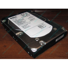 Жесткий диск 300Gb 15k Dell 9CH066-050 6G SAS (Seagate Cheetach ST3300656SS 15K.6) - Кострома