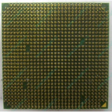 Процессор AMD Sempron 3000+ (1.6GHz) SDA3000IAA3CN s.AM2 (Кострома)